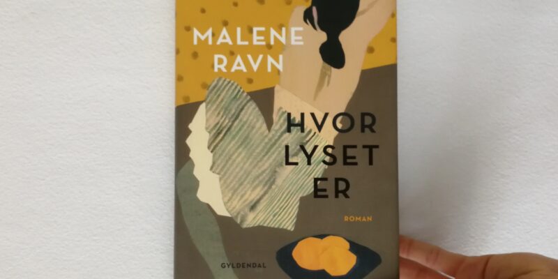 hvor lyset er malene ravn gyldendal