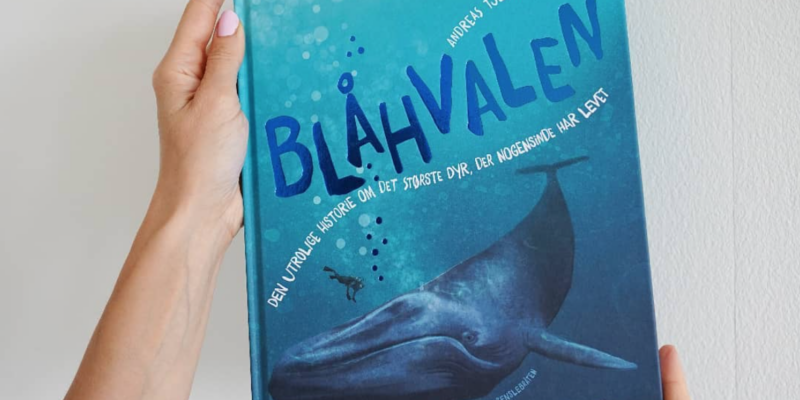 Blåhvalen - den utrolige historie om det største dyr, der nogensinde har levet